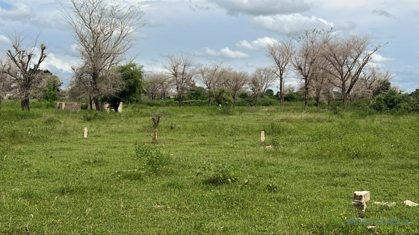 lot-de-225-metres-carres-a-vendre-a-tene-toubab-sn-big-1