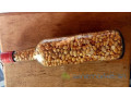cacahuetes-salees-small-3