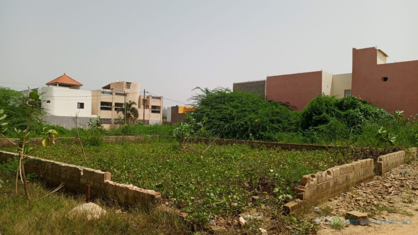terrain-de-300-metres-carres-a-vendre-a-saly-sn-big-2