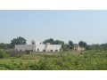 terrain-de-300-metres-carres-a-vendre-a-popenguine-sn-small-3