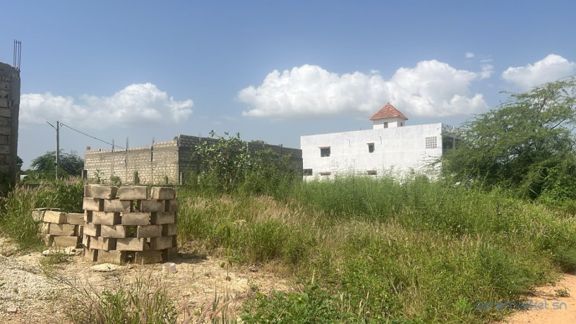 terrain-de-300-metres-carres-a-vendre-a-popenguine-sn-big-2