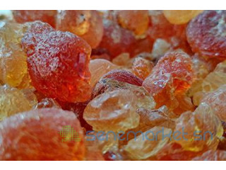 Gomme naturelle arabique Acacia Sénégal