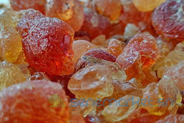 gomme-naturelle-arabique-acacia-senegal-big-0