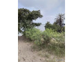 vend-ecolodge-small-3