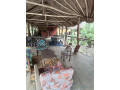 vend-ecolodge-small-1