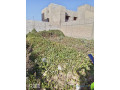 terrain-a-vendre-small-0
