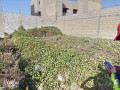 terrain-a-vendre-small-1