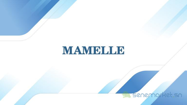 mamelles-big-0