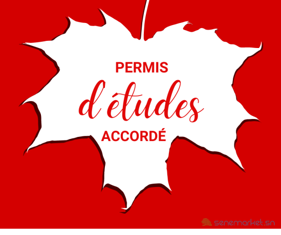 procedures-etudes-et-autres-visas-big-0