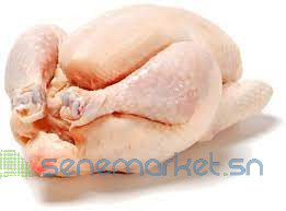 vente-de-poulet-de-chair-et-poulet-bleu-hollandais-big-0