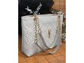sacs-lv-small-1