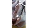 manteau-impermeable-pluie-unisexe-small-3