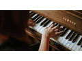 cours-particulier-de-musique-small-3