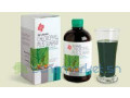 jus-de-chlorophylle-un-excellent-detoxifiant-renforce-le-sang-anti-diabete-small-2