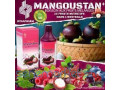 jus-de-mangostan-fruit-au-mille-vertus-small-1