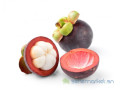 jus-de-mangostan-fruit-au-mille-vertus-small-2
