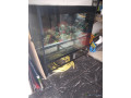 aquarium-small-1