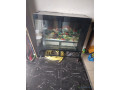 aquarium-small-0