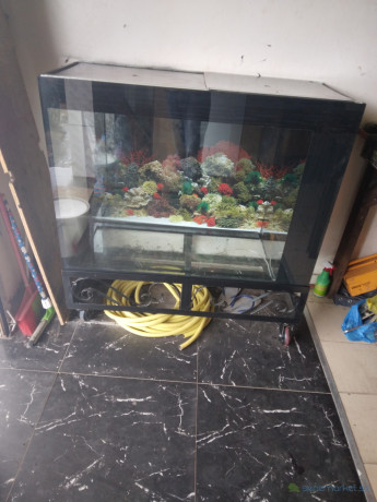 aquarium-big-0