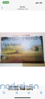 terrains-big-4