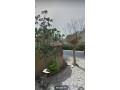 villa-650m2-confidentiel-a-bazarder-fenetre-mermoz-pres-de-chez-macky-sall-small-3