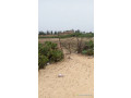 verger-au-lac-rose-small-0