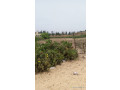 verger-au-lac-rose-small-1