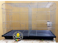 cage-oiseaux-small-0