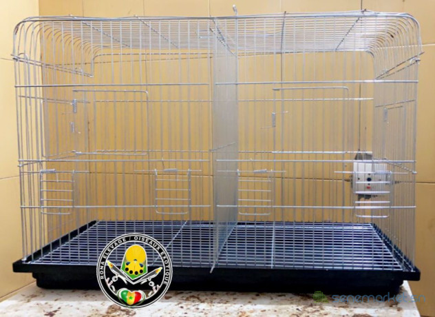 cage-oiseaux-big-0
