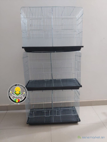 cage-oiseaux-big-2