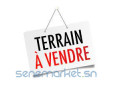 lot-de-terrain-diass-small-0