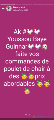 poulet-bon-prix-special-gamou-big-1