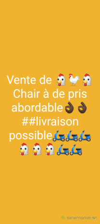 poulet-bon-prix-special-gamou-big-3