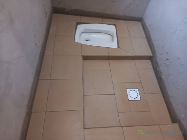 vente-de-poulailler-a-kaolack-avec-materiel-et-solaire-big-2