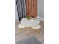 ensemble-table-basse-ronde-et-rectangulaire-small-1