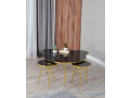 ensemble-table-basse-ronde-et-rectangulaire-small-3