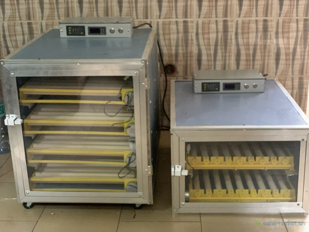 couveuses-automatiques-a-oeufs-big-0