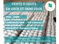vente-doeufs-small-0