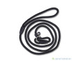 laisse-chien-de-compagnie-en-nylon-reglable-small-0