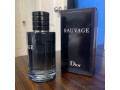 dior-sauvage-eau-de-parfum-pour-homme-small-1