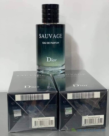 dior-sauvage-eau-de-parfum-pour-homme-big-0