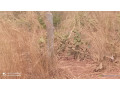 terrains-a-vendre-small-0