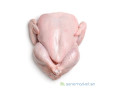 poulet-de-chair-thies-small-0