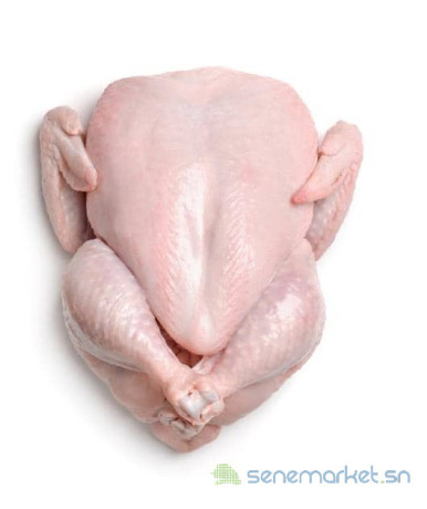 poulet-de-chair-thies-big-0
