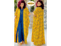jolies-robes-dame-small-4