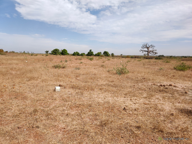 a-vendre-un-terrain-de-225-metres-carres-a-thiaoune-bambara-extension-2-big-0