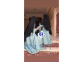 vente-de-voiles-et-djilbabs-small-2