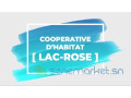 lac-rose-cooperative-dhabitat-small-0