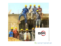 placement-de-personnels-small-0