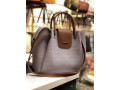 sacs-pour-femme-small-2